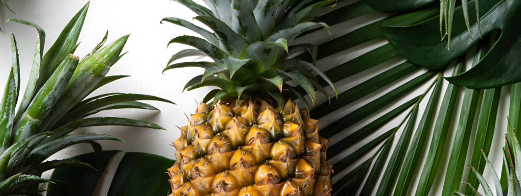 鳳梨酵素，碗盤清潔劑中的天然奇蹟