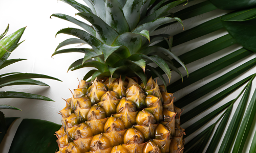 鳳梨酵素，碗盤清潔劑中的天然奇蹟